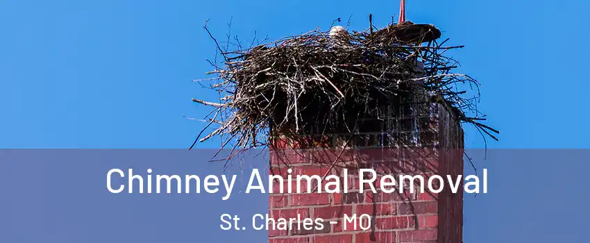 Chimney Animal Removal St. Charles - MO
