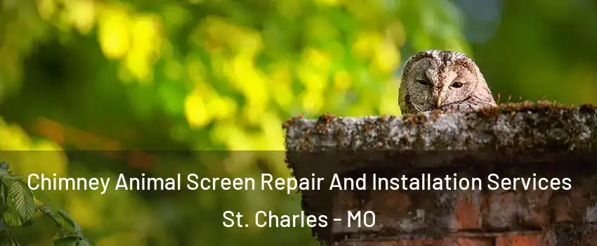 Chimney Animal Screen Repair And Installation Services St. Charles - MO