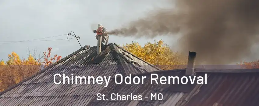  Chimney Odor Removal St. Charles - MO