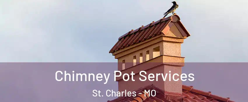  Chimney Pot Services St. Charles - MO