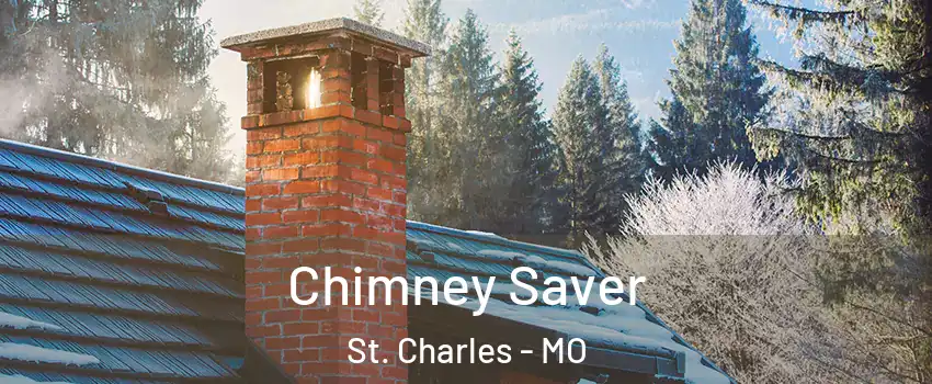  Chimney Saver St. Charles - MO