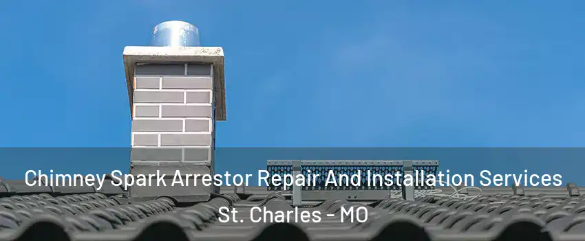 Chimney Spark Arrestor Repair And Installation Services St. Charles - MO