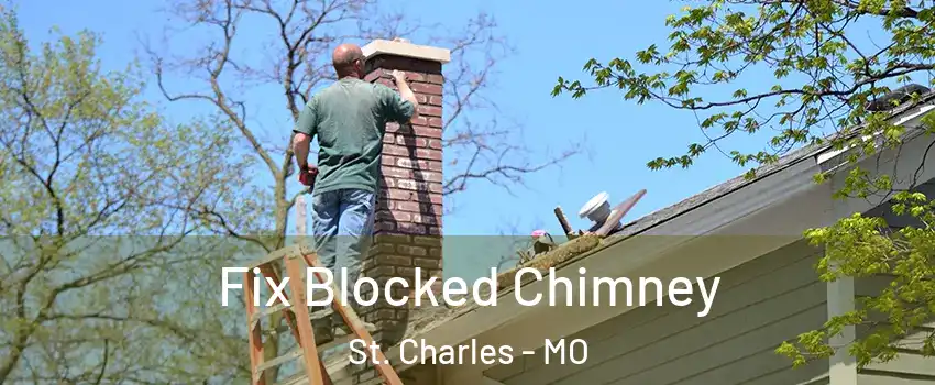  Fix Blocked Chimney St. Charles - MO