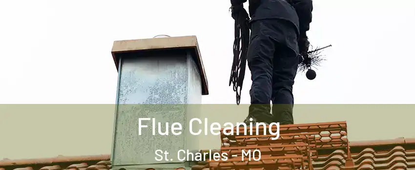  Flue Cleaning St. Charles - MO