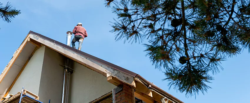 Birds Removal Contractors from Chimney in St. Charles, MO