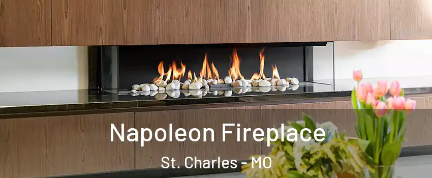  Napoleon Fireplace St. Charles - MO