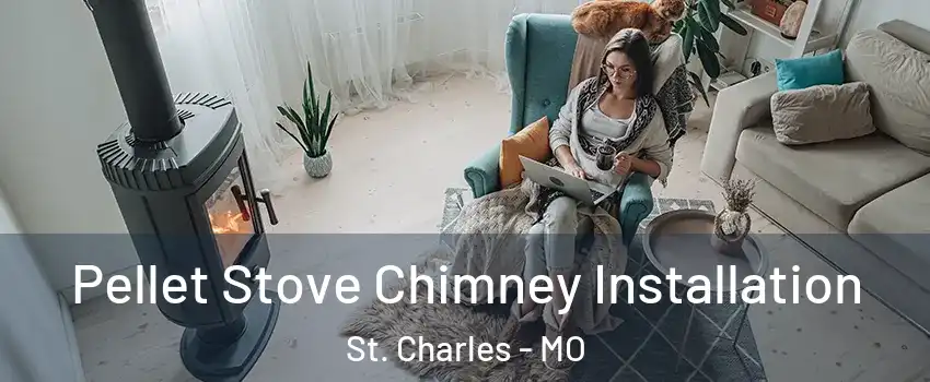  Pellet Stove Chimney Installation St. Charles - MO